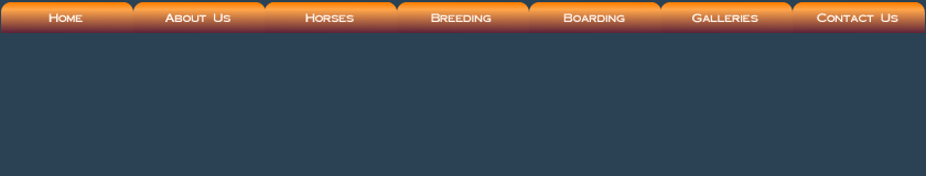 Nav Bar